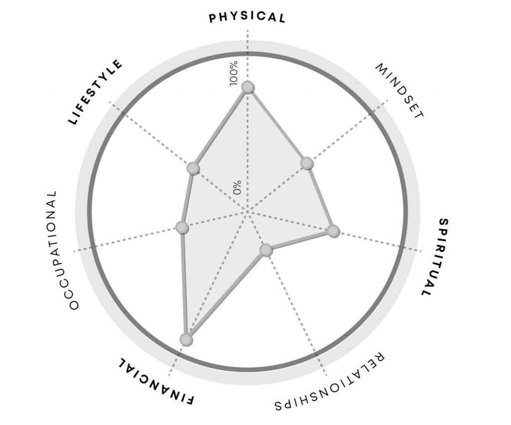 Life Harmony Model used to help with coaching